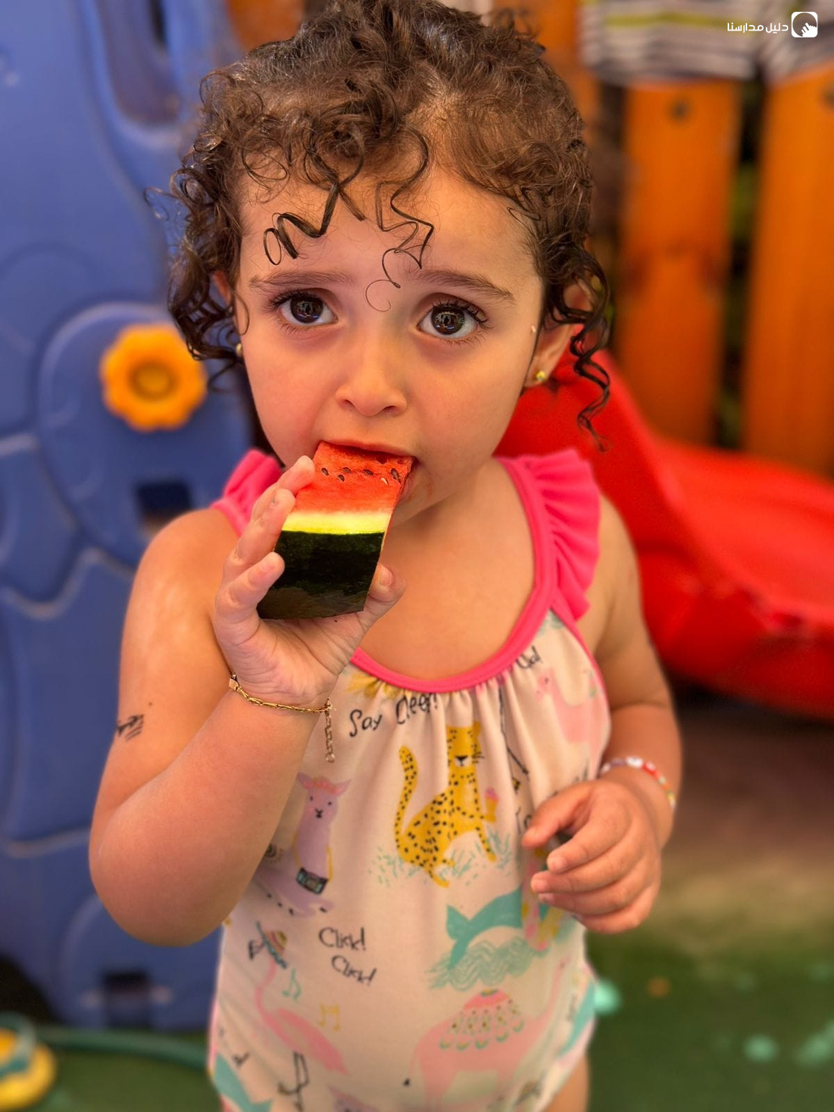 حضانة حديقتي الحديثة slide 2